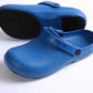 Surgical Clogs - Bold